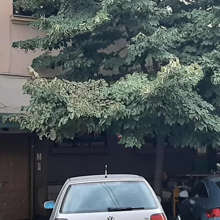 Yes Apartment *